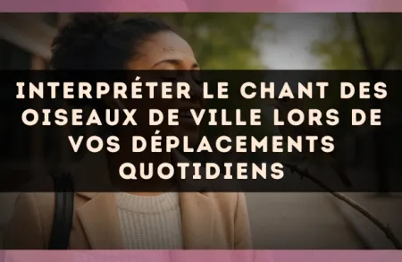 Interpréter le chant des oiseaux de ville lors de vos déplacements quotidiens