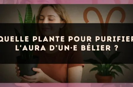 Quelle plante pour purifier l'aura d’un·e Bélier ?
