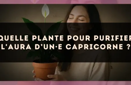 Quelle plante pour purifier l'aura d’un·e Capricorne ?