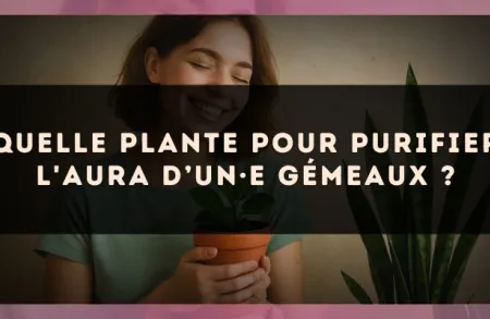 Quelle plante pour purifier l'aura d’un·e Gémeaux ?