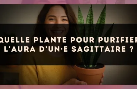 Quelle plante pour purifier l'aura d’un·e Sagittaire ?