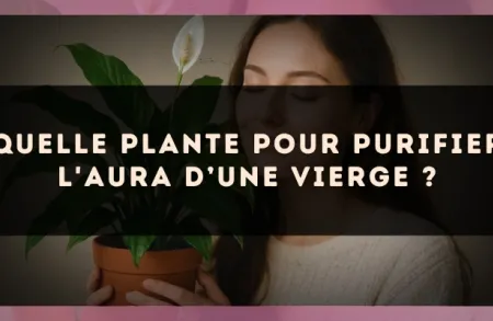 Quelle plante pour purifier l'aura d’une Vierge ?