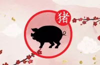 Le portrait du signe chinois Cochon : caractère et personnalité