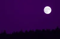 Pleine lune en Vierge du 14 mars 2025 : Organisation, soins personnels, santé.