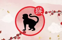 Le portrait du signe chinois Singe : caractère et personnalité