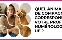 🐾 Test : Quel animal de compagnie correspond à votre profil numérologique ? 