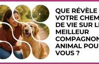 🐾 Test : Que révèle votre chemin de vie sur le meilleur compagnon animal pour vous ? 