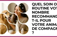🐾 Test : Quel soin ou routine votre nombre recommande‑t‑il pour votre animal de compagnie ? 