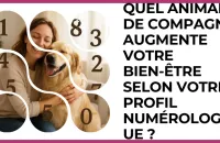 🐾 Test : Quel animal de compagnie augmente votre bien‑être selon votre profil numérologique ? 