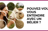 ♈ Test : Pouvez-vous vous entendre avec un Bélier ? 