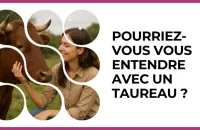 🐂 Test : Pourriez-vous vous entendre avec un Taureau ? 