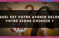 🐉 Quel est votre avenir selon votre signe Chinois ?