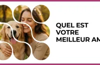 🧑‍🤝‍🧑 Test : Quel est votre meilleur ami ? 