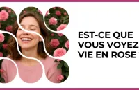 🌸 Test : Est-ce que vous voyez la vie en rose ? 