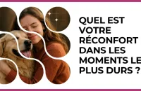 Test - Quel est votre réconfort dans les moments les plus durs ?