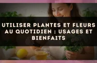 Utiliser Plantes et Fleurs au Quotidien : Usages et Bienfaits