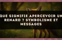 Que signifie apercevoir un renard ? Symbolisme et messages