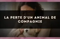 La perte d'un animal de compagnie