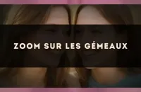 Zoom sur les Gémeaux