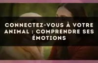 Connectez-vous à votre animal : comprendre ses émotions