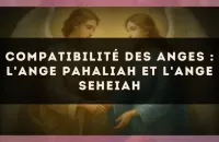 Compatibilité des anges : l'Ange Pahaliah et l'Ange Seheiah