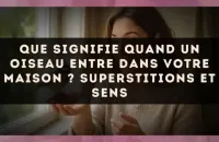 🕊️ Que Signifie Quand un Oiseau Entre dans Votre Maison ? Superstitions et Sens