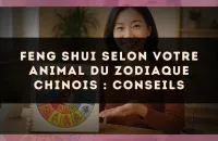 Feng Shui selon votre animal du zodiaque chinois : conseils