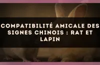 Compatibilité amicale des signes chinois : Rat et Lapin