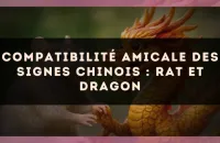 Compatibilité amicale des signes chinois : Rat et Dragon