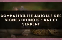 Compatibilité amicale des signes chinois : Rat et Serpent