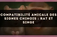 Compatibilité amicale des signes chinois : Rat et Singe