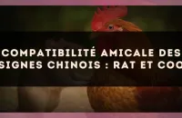 Compatibilité amicale des signes chinois : Rat et Coq