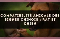 Compatibilité amicale des signes chinois : Rat et Chien