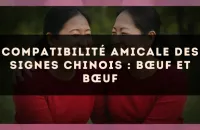Compatibilité amicale des signes chinois : Bœuf et Bœuf