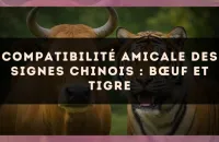 Compatibilité amicale des signes chinois : Bœuf et Tigre