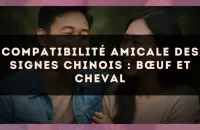 Compatibilité amicale des signes chinois : Bœuf et Cheval