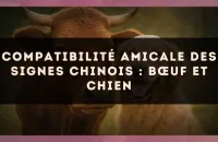 Compatibilité amicale des signes chinois : Bœuf et Chien