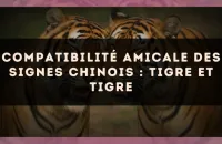 Compatibilité amicale des signes chinois : Tigre et Tigre