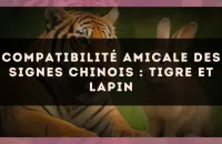 Compatibilité amicale des signes chinois : Tigre et Lapin