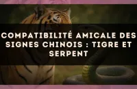 Compatibilité amicale des signes chinois : Tigre et Serpent