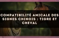 Compatibilité amicale des signes chinois : Tigre et Cheval