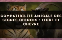 Compatibilité amicale des signes chinois : Tigre et Chèvre