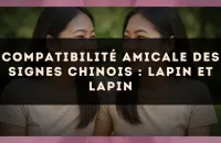 Compatibilité amicale des signes chinois : Lapin et Lapin