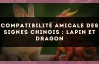 Compatibilité amicale des signes chinois : Lapin et Dragon