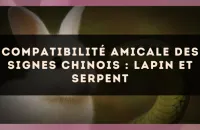 Compatibilité amicale des signes chinois : Lapin et Serpent