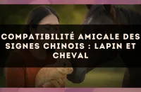 Compatibilité amicale des signes chinois : Lapin et Cheval