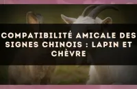 Compatibilité amicale des signes chinois : Lapin et Chèvre