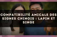Compatibilité amicale des signes chinois : Lapin et Singe