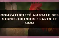 Compatibilité amicale des signes chinois : Lapin et Coq
