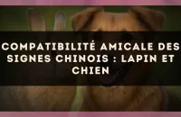 Compatibilité amicale des signes chinois : Lapin et Chien